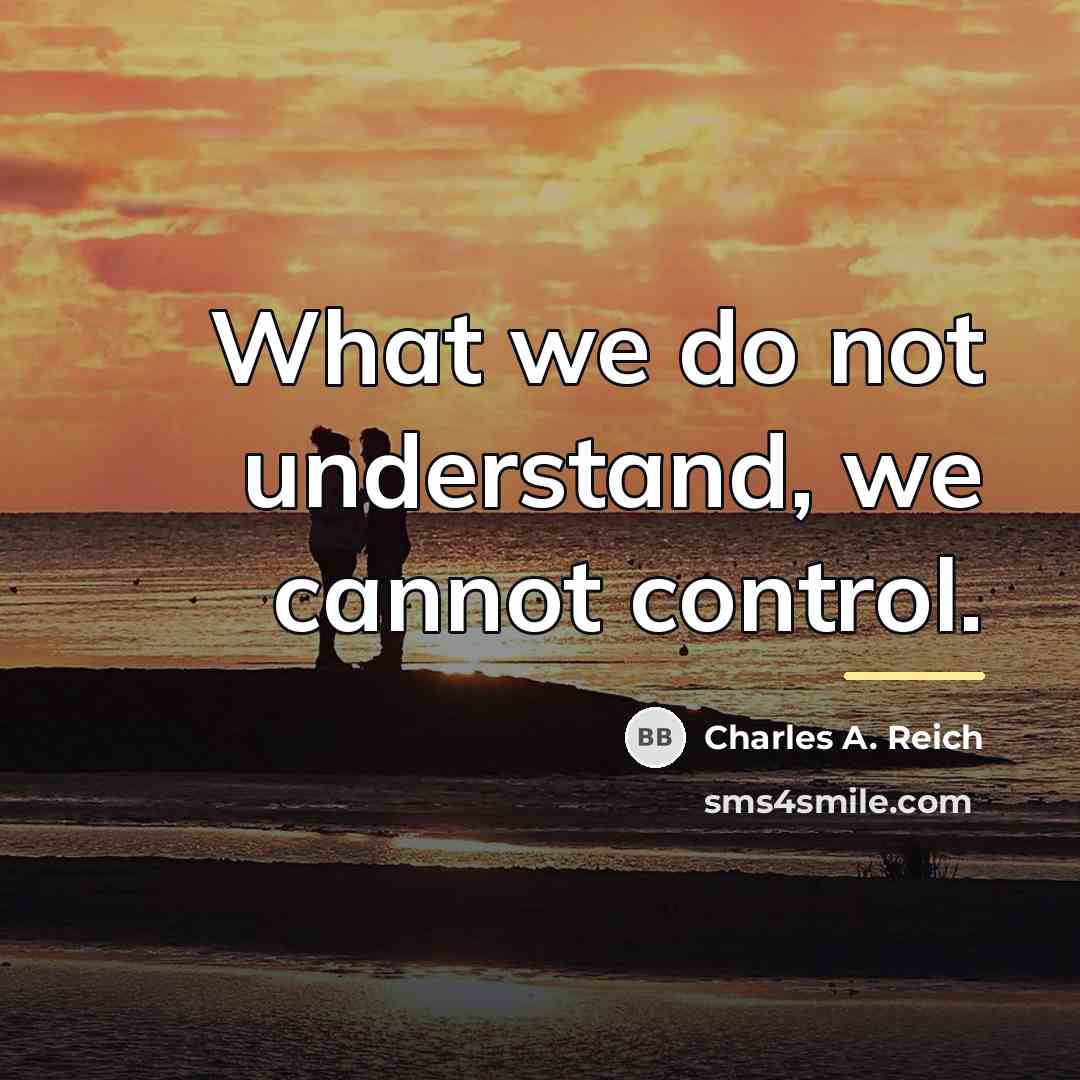 “What we do not understand, we cannot control.…” quote by Charles A. Reich