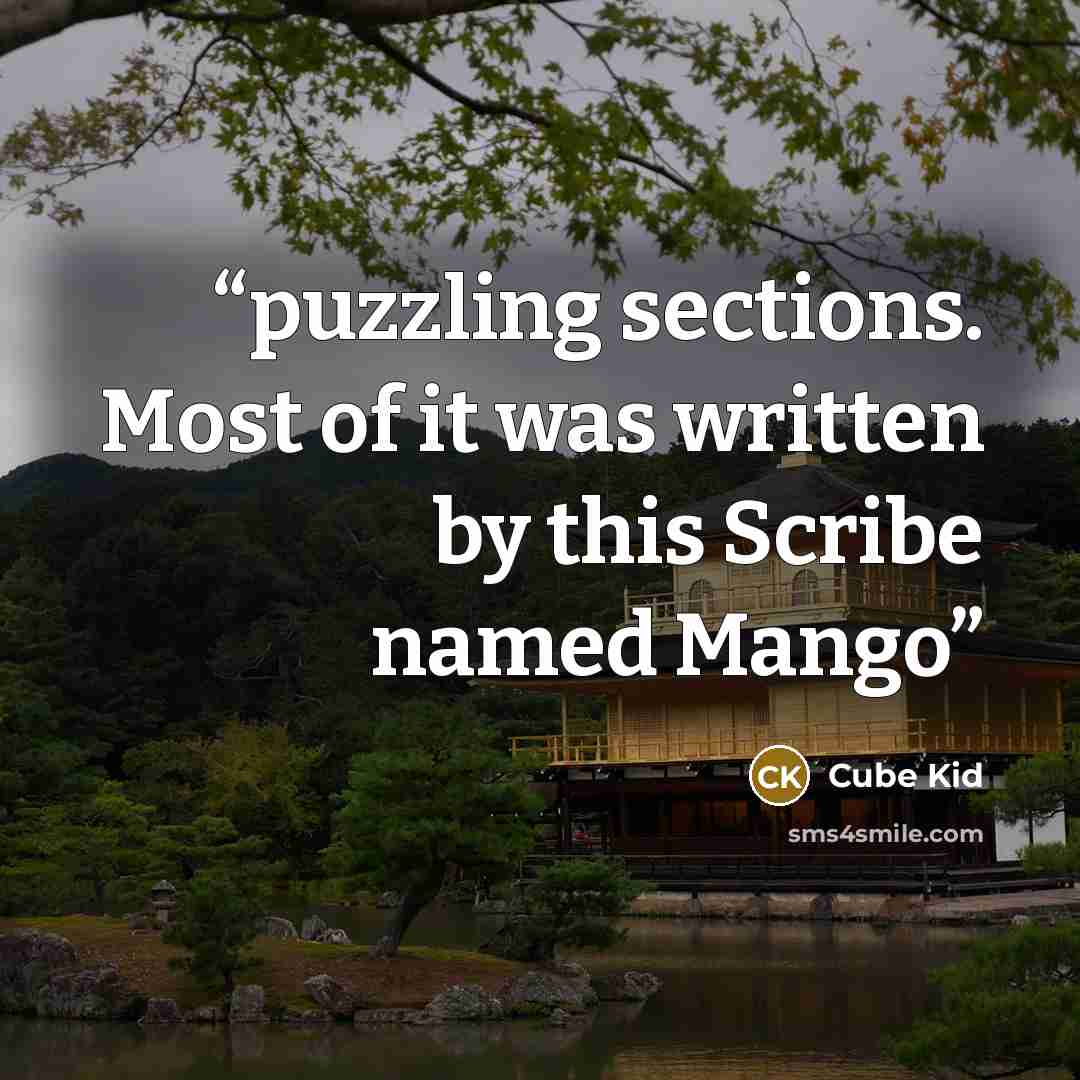 “puzzling sections. Most of it was written by this Scribe named Mango” quote by Cube Kid
