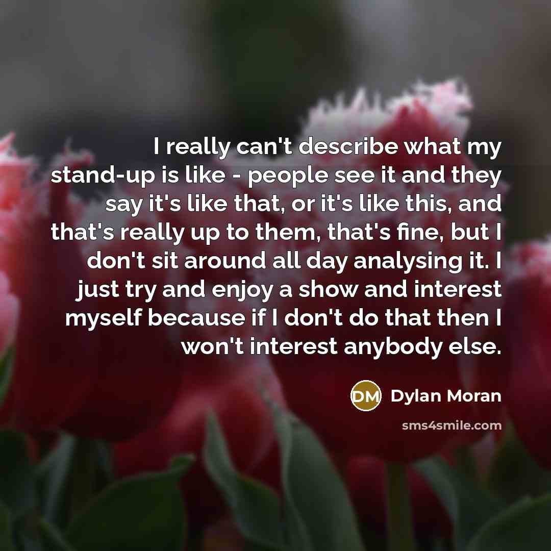 “I really can't describe what my stand-up is like -…” quote by Dylan Moran
