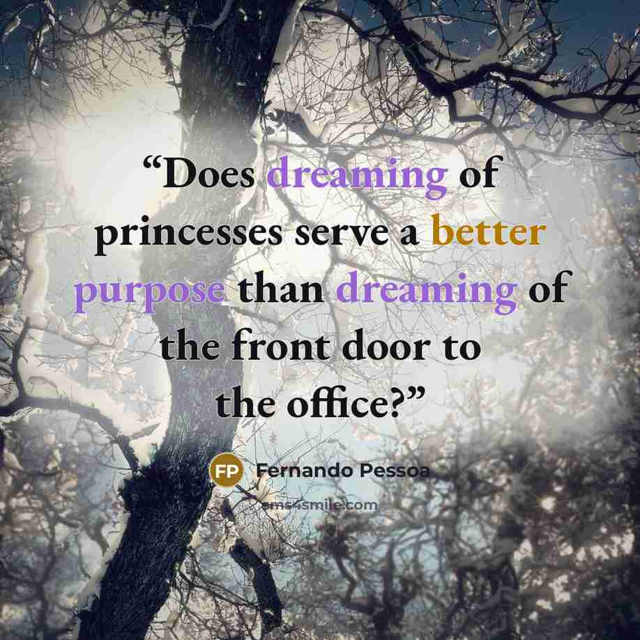 “Does dreaming of princesses serve a better purpose than dreaming of the front door to the office?” quote by Fernando Pessoa