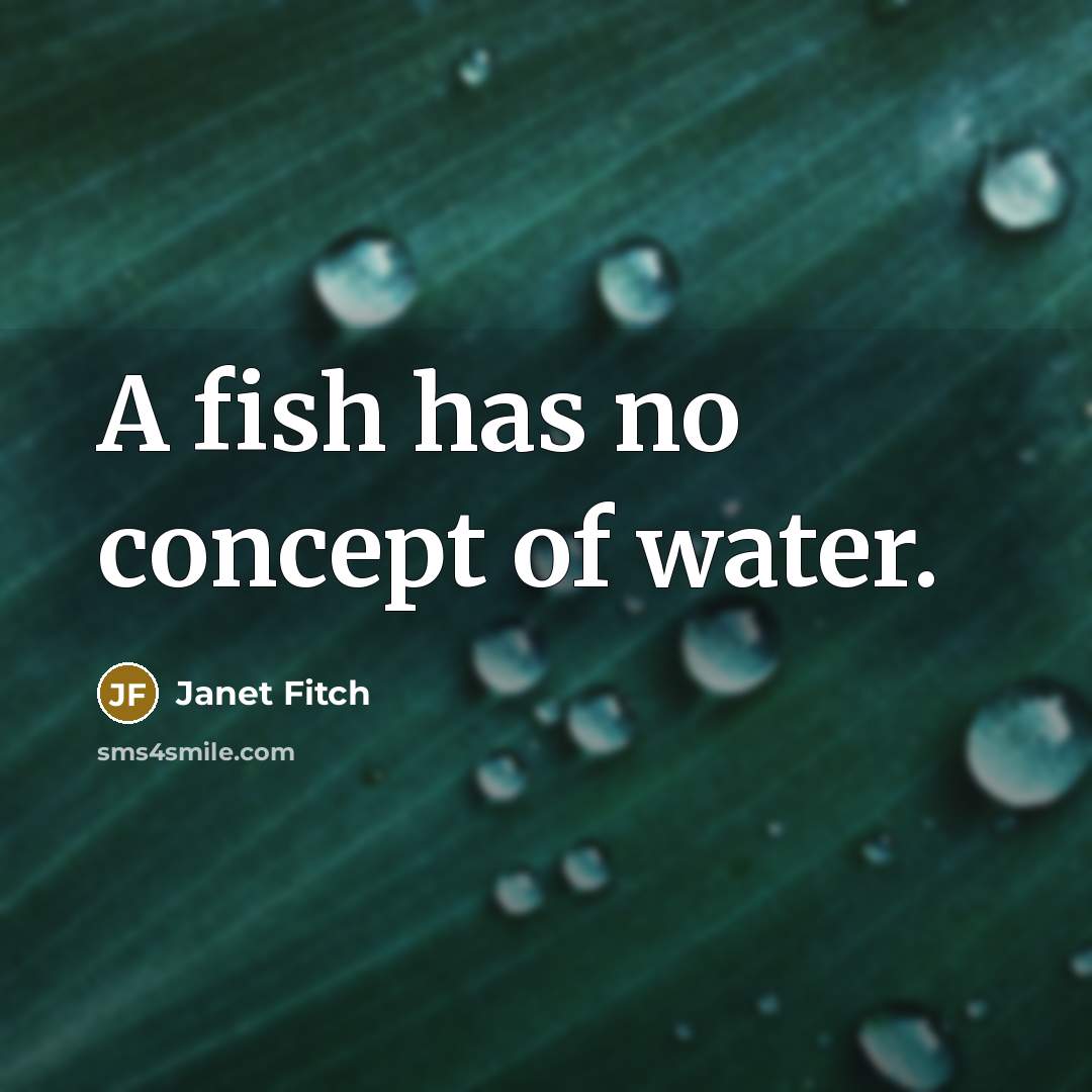 “A fish has no concept of water.…” quote by Janet Fitch