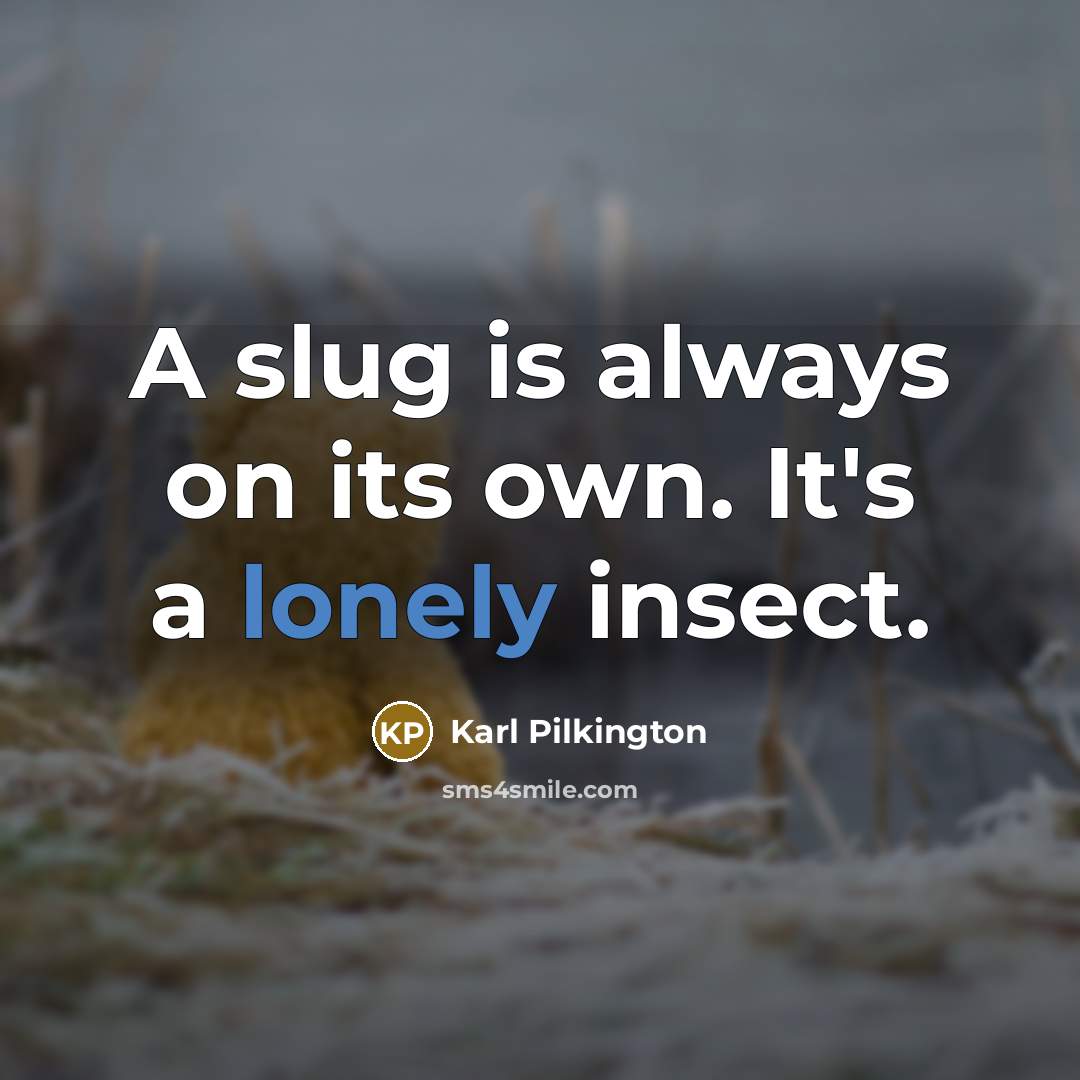 “A slug is always on its own. It's a lonely…” quote by Karl Pilkington