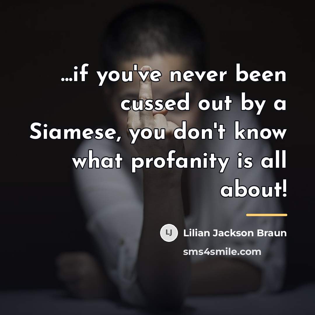 “...if you've never been cussed out by a Siamese, you…” quote by Lilian Jackson Braun