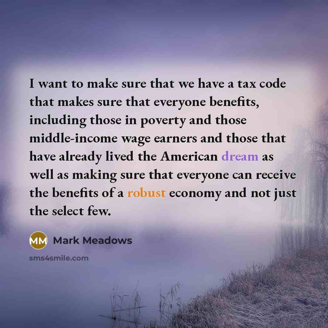 “I want to make sure that we have a tax…” quote by Mark Meadows