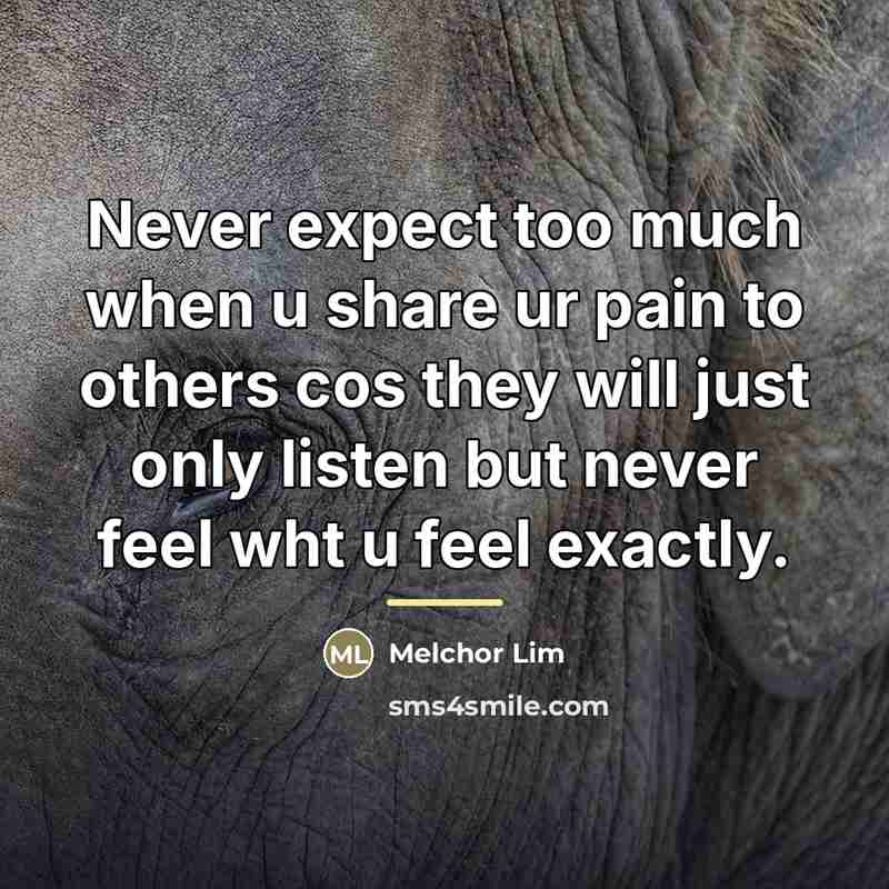 “Never expect too much when u share ur pain to…” quote by Melchor Lim
