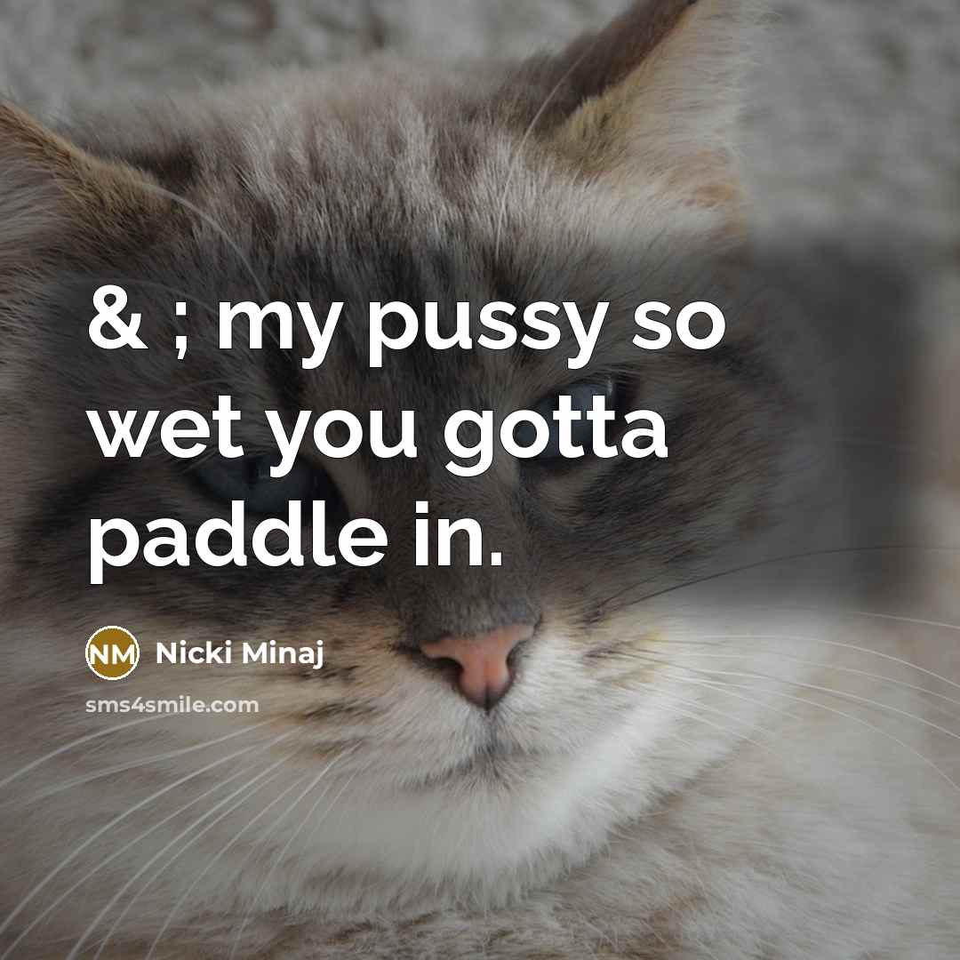 “& ; my pussy so wet you gotta paddle in.…” quote by Nicki Minaj