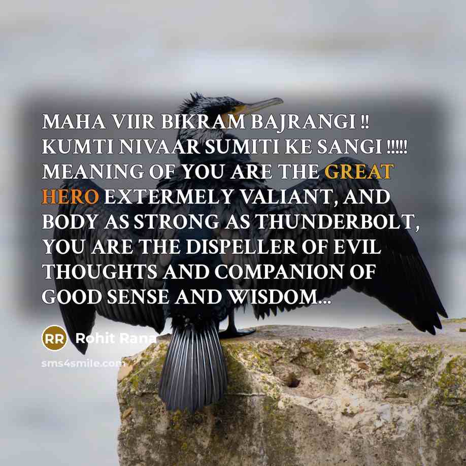 “MAHA VIIR BIKRAM BAJRANGI !! KUMTI NIVAAR SUMITI KE SANGI…” quote by Rohit Rana