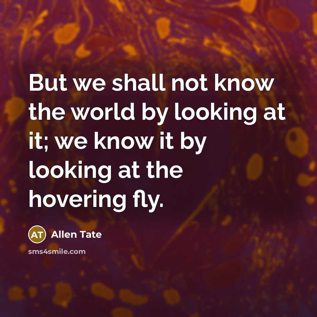 “But we shall not know the world by looking at…” quote by Allen Tate
