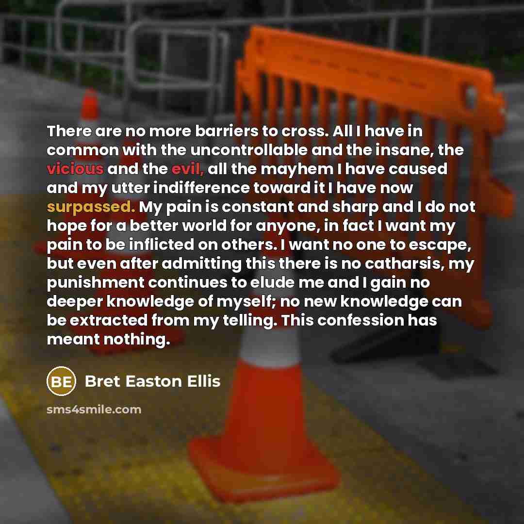 “There are no more barriers to cross. All I have…” quote by Bret Easton Ellis