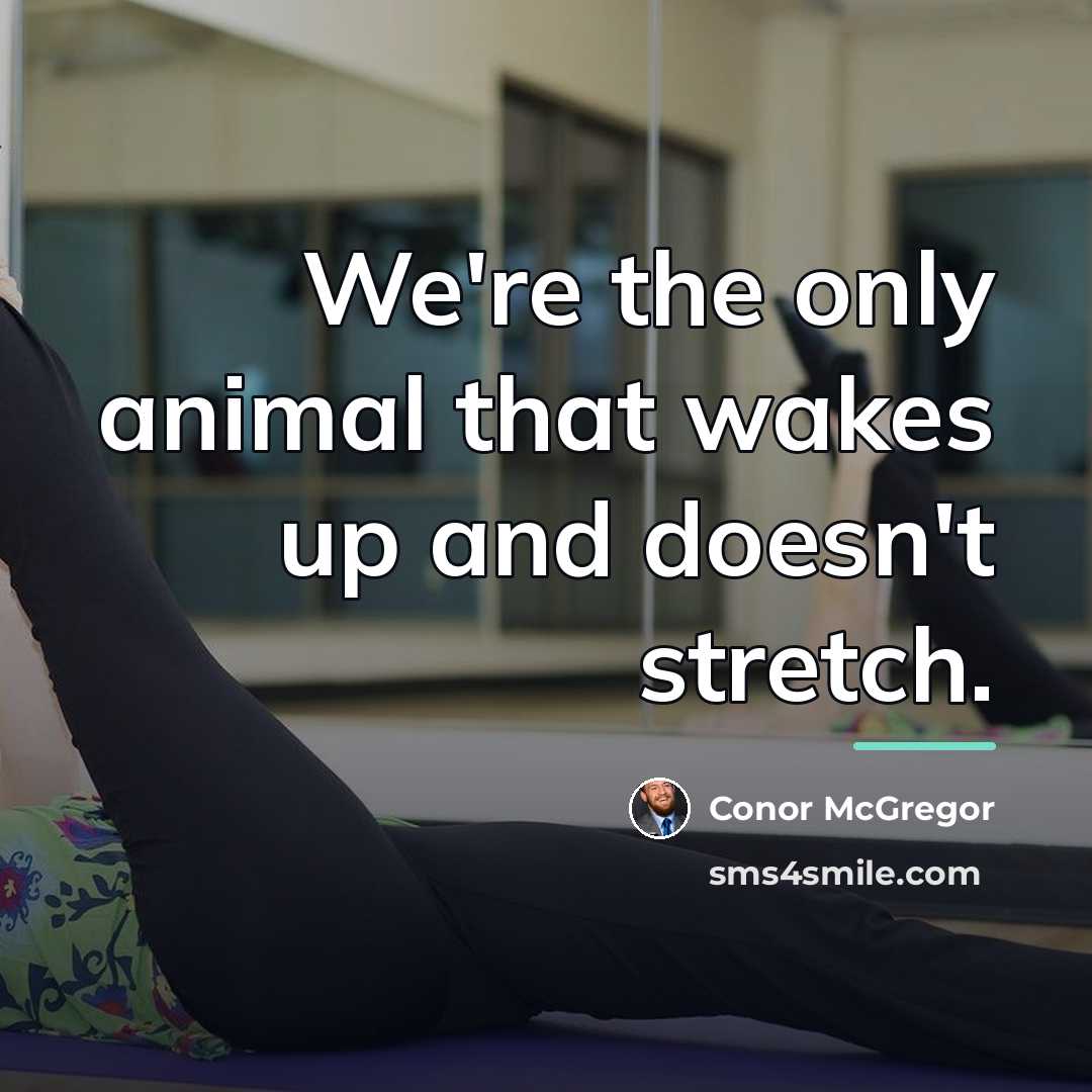 “We're the only animal that wakes up and doesn't stretch.…” quote by Conor McGregor