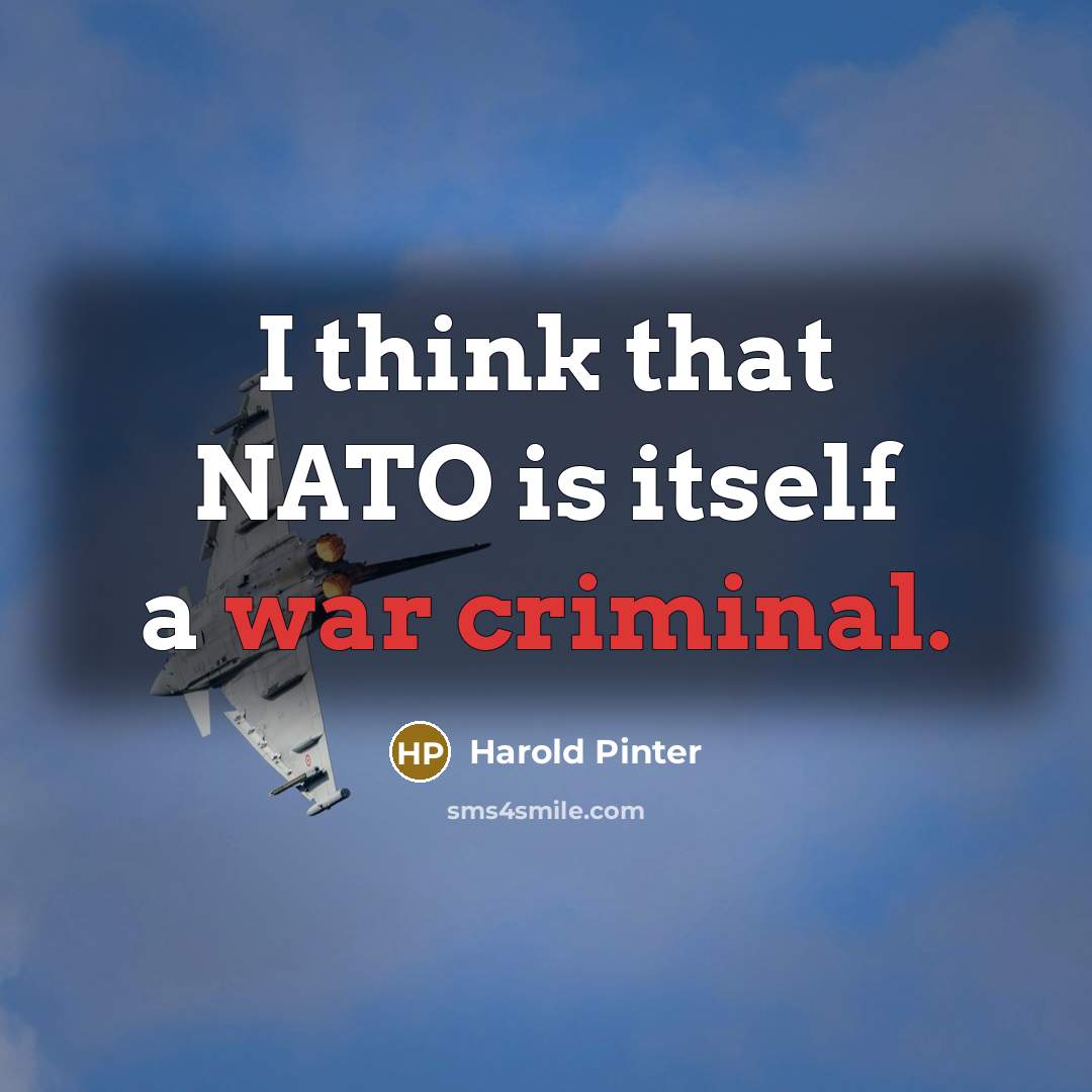 “I think that NATO is itself a war criminal.” quote by Harold Pinter