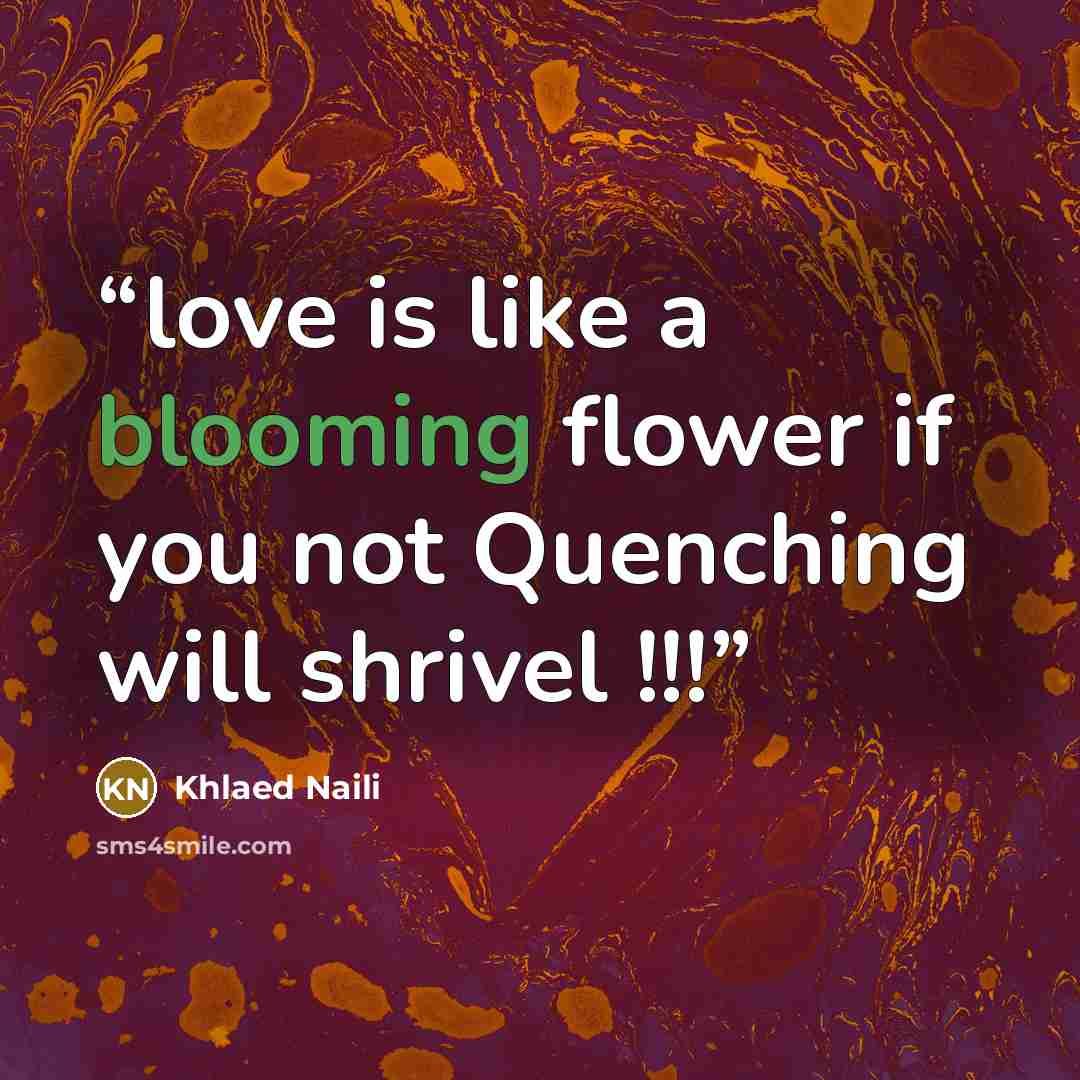 “love is like a blooming flower if you not Quenching will shrivel !!!” quote by Khlaed Naili
