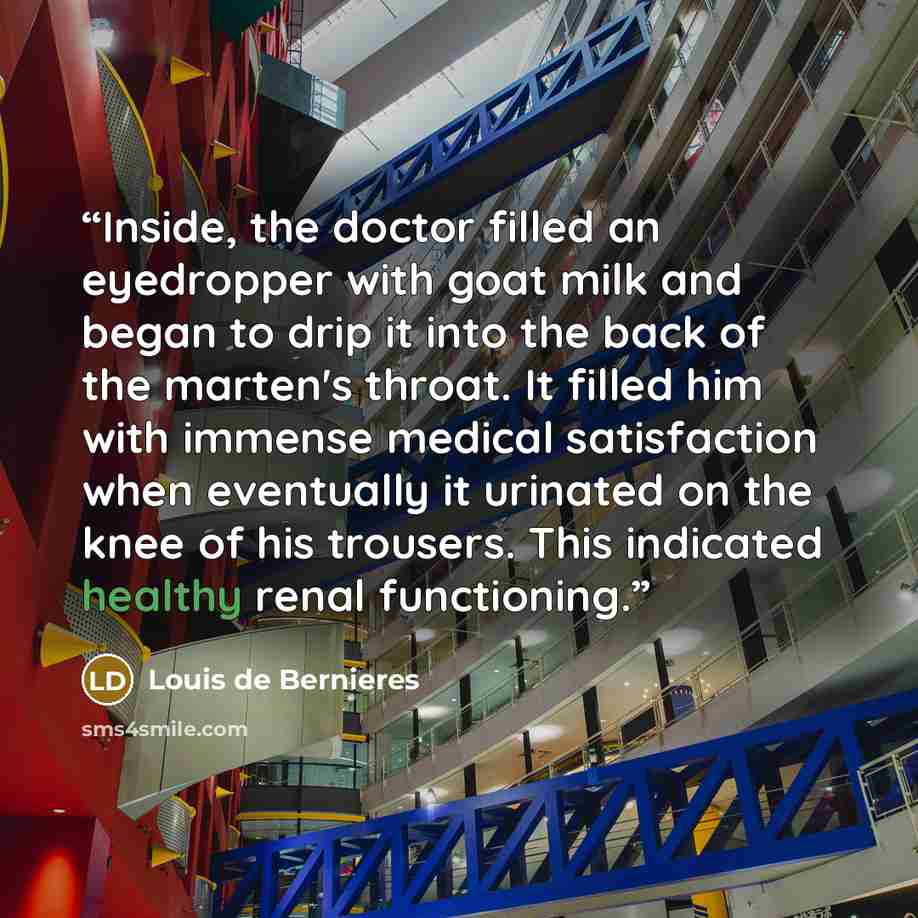 “Inside, the doctor filled an eyedropper with goat milk and began to drip it into the back of the marten's throat. It filled him with immense medical satisfaction when eventually it urinated on the knee of his trousers. This indicated healthy renal functioning.” quote by Louis de Bernières