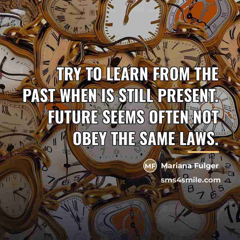 “Try to learn from the past when is still present.…” quote by Mariana Fulger