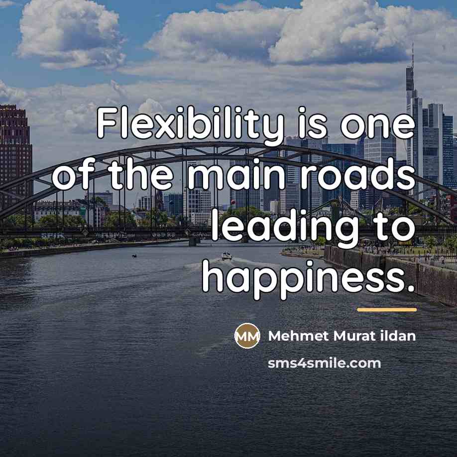 “Flexibility is one of the main roads leading to happiness.…” quote by Mehmet Murat Ildan
