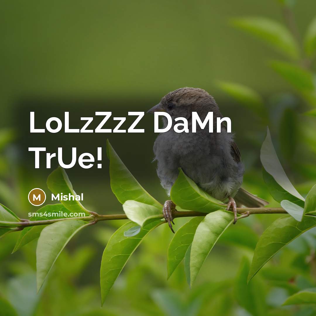 “LoLzZzZ DaMn TrUe!…” quote by Mishal