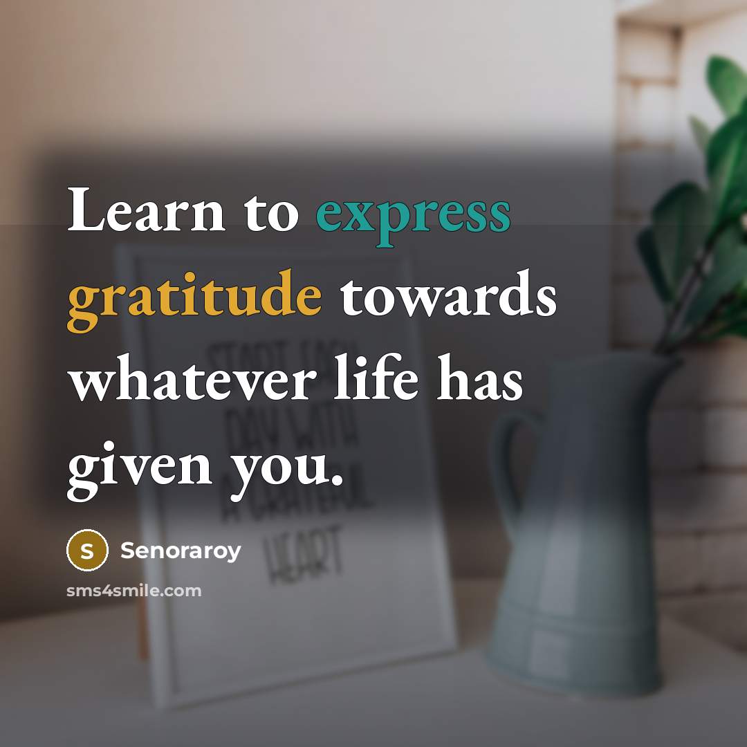 “Learn to express gratitude towards whatever life has given you.…” quote by Senoraroy