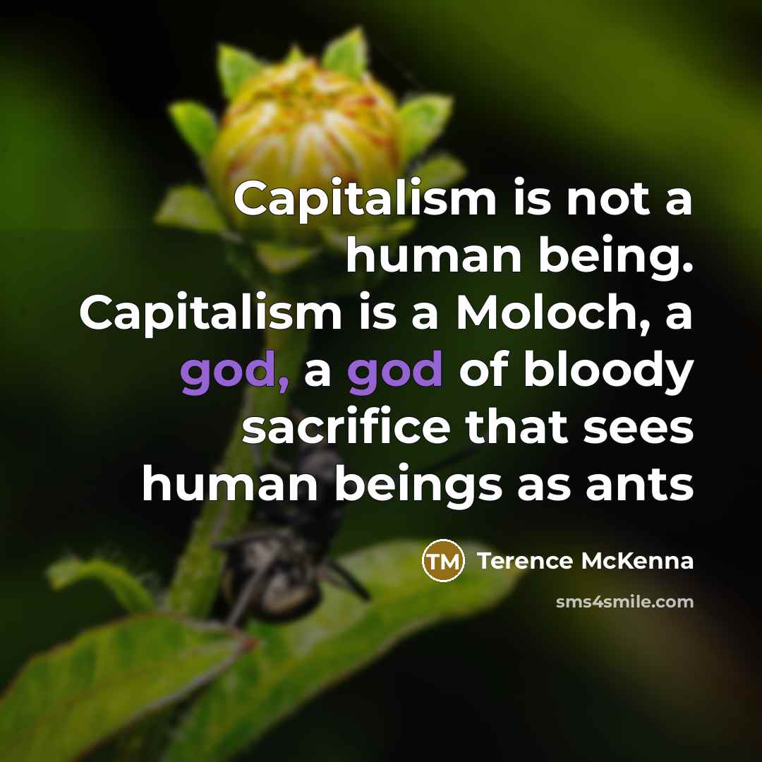 “Capitalism is not a human being. Capitalism is a Moloch,…” quote by Terence McKenna