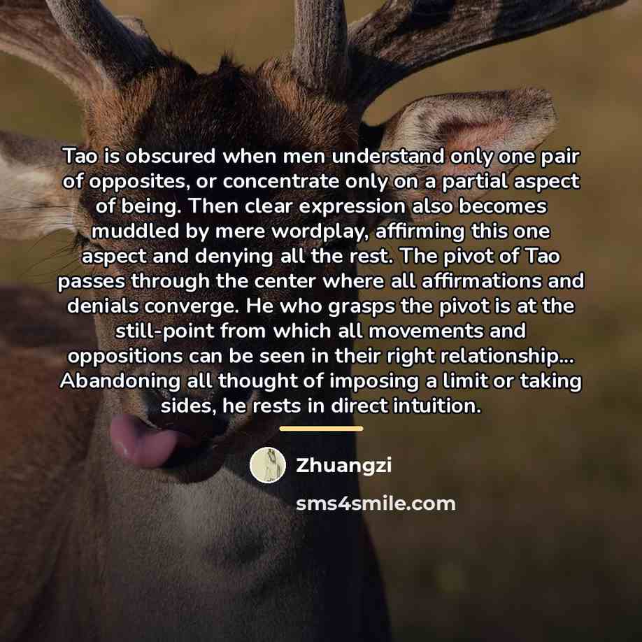 “Tao is obscured when men understand only one pair of…” quote by Zhuangzi