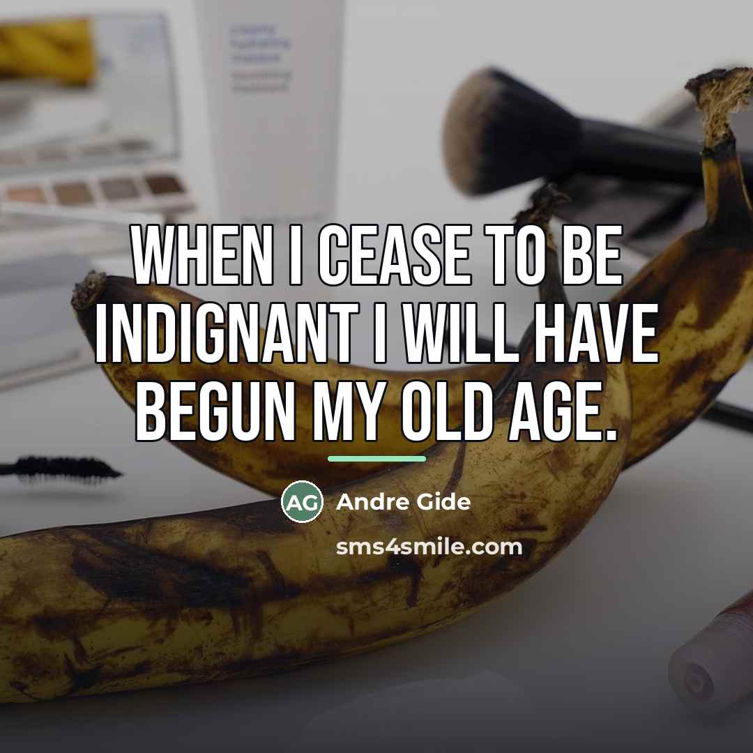 “When I cease to be indignant I will have begun…” quote by Andre Gide