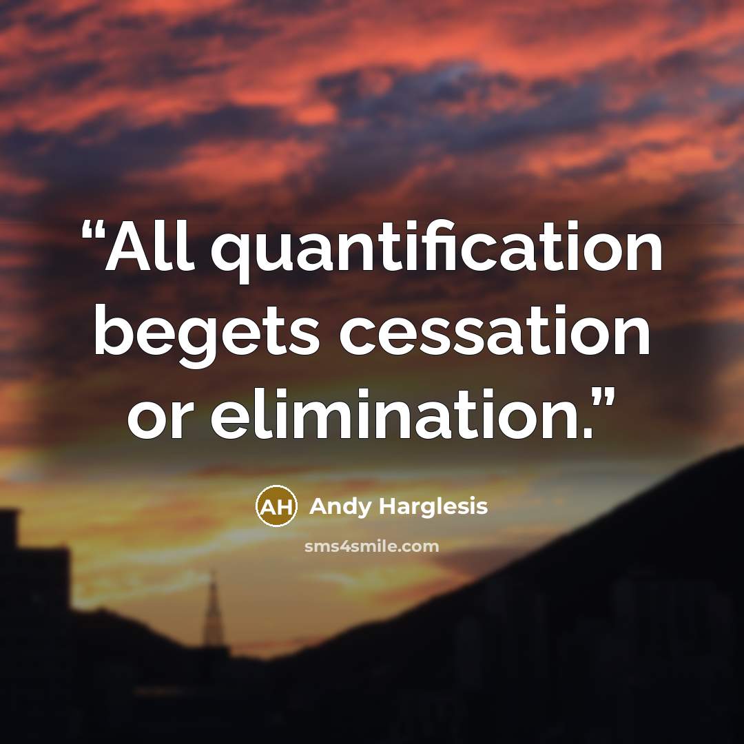 “All quantification begets cessation or elimination.” quote by Andy Harglesis