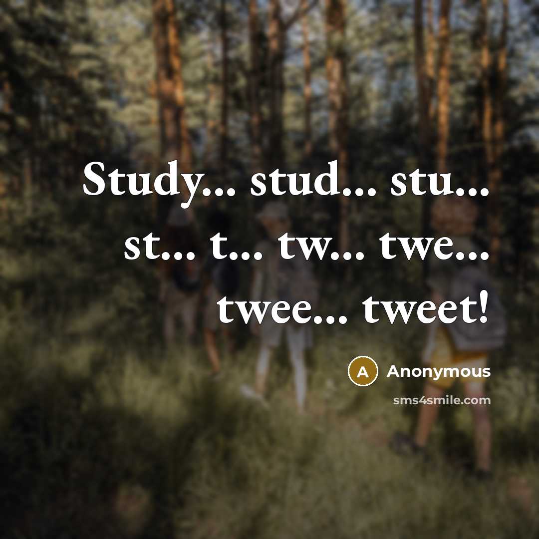“Study... stud... stu... st... t... tw... twe... twee... tweet!…” quote by Anonymous