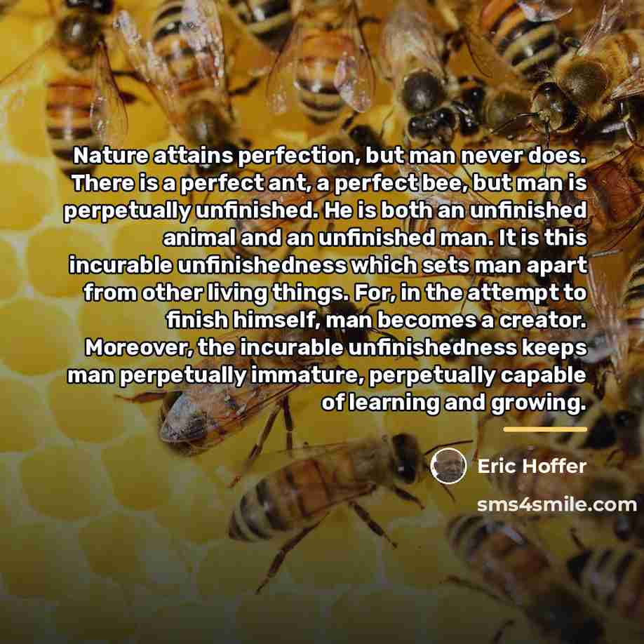 “Nature attains perfection, but man never does. There is a…” quote by Eric Hoffer