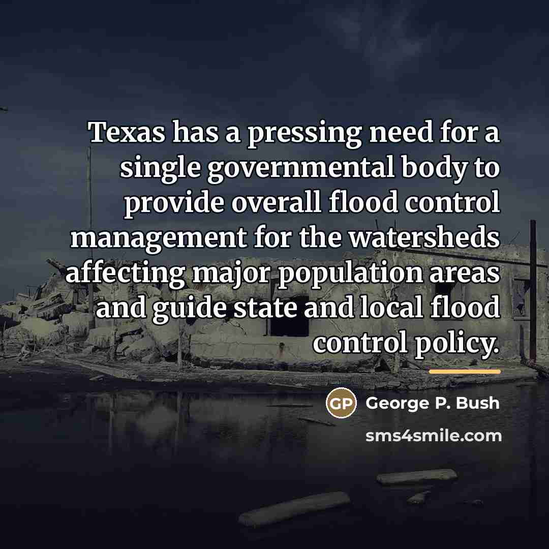 “Texas has a pressing need for a single governmental body…” quote by George P. Bush