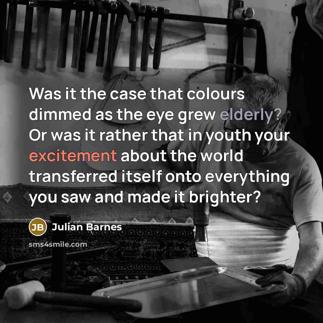 “Was it the case that colours dimmed as the eye…” quote by Julian Barnes