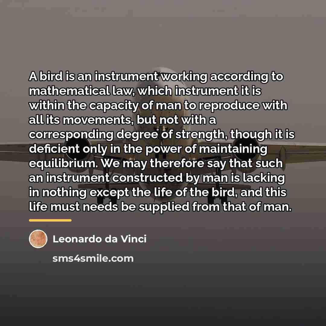 “A bird is an instrument working according to mathematical law,…” quote by Leonardo da Vinci