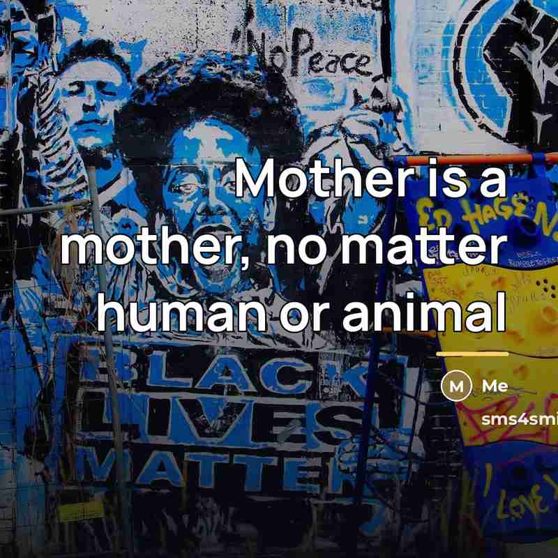 “Mother is a mother, no matter human or animal…” quote by Me