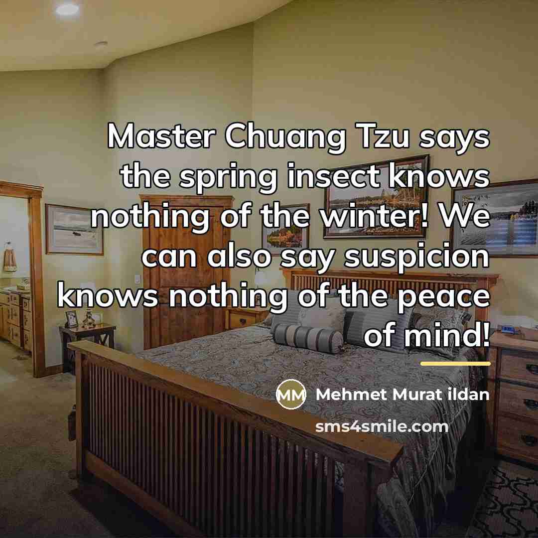 “Master Chuang Tzu says the spring insect knows nothing of…” quote by Mehmet Murat Ildan