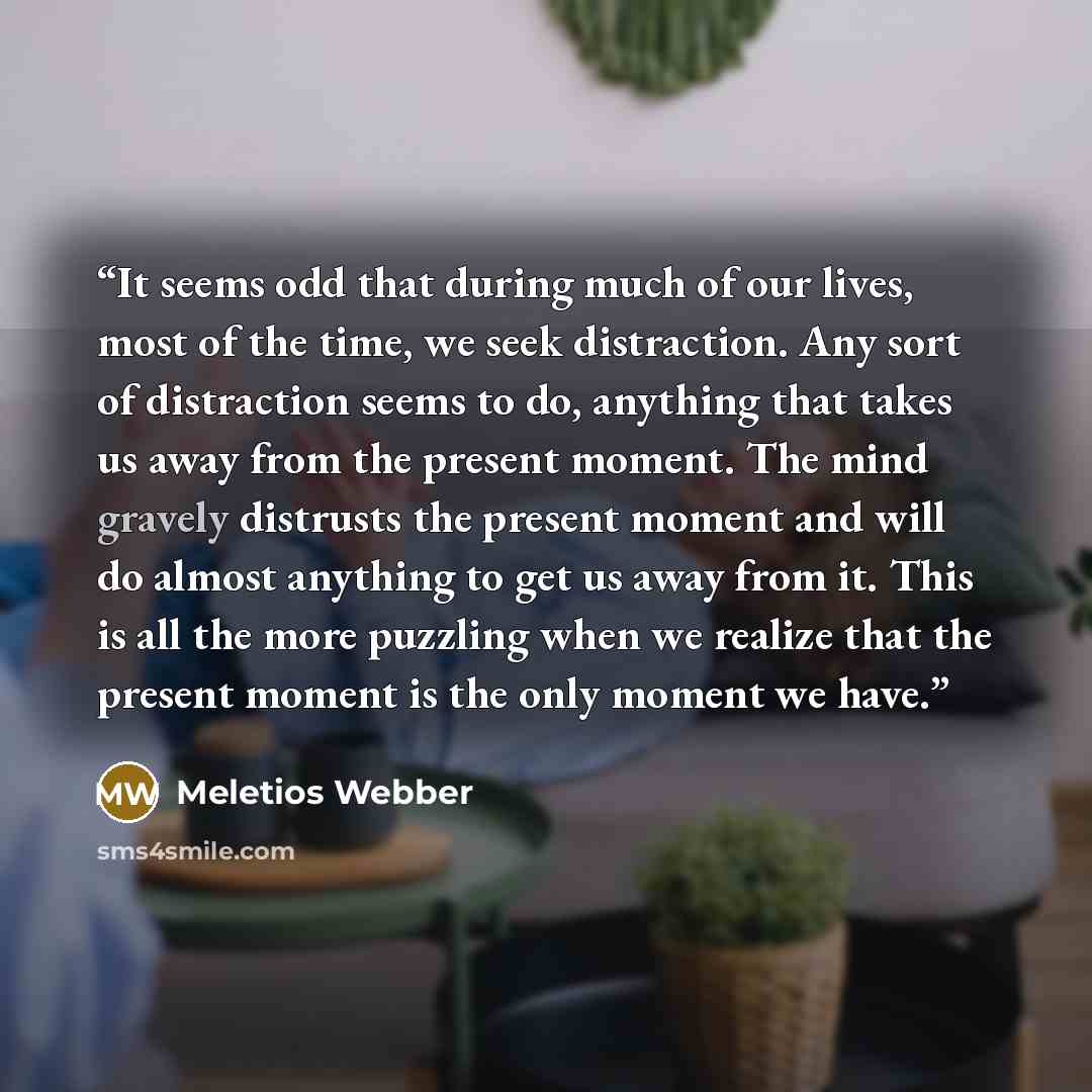 “It seems odd that during much of our lives, most of the time, we seek distraction. Any sort of distraction seems to do, anything that takes us away from the present moment. The mind gravely distrusts the present moment and will do almost anything to get us away from it. This is all the more…” quote by Meletios Webber