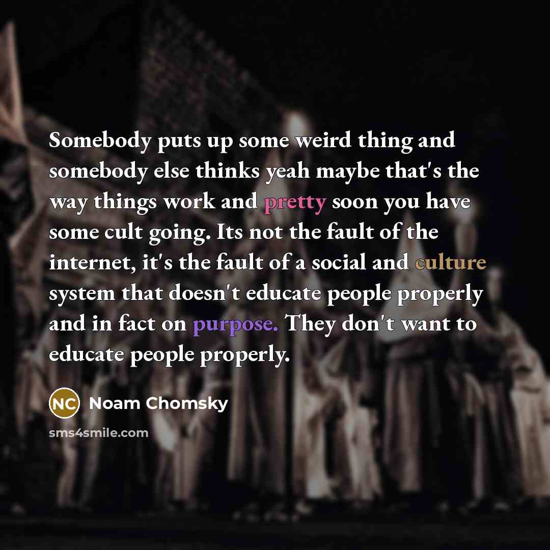 “Somebody puts up some weird thing and somebody else thinks…” quote by Noam Chomsky