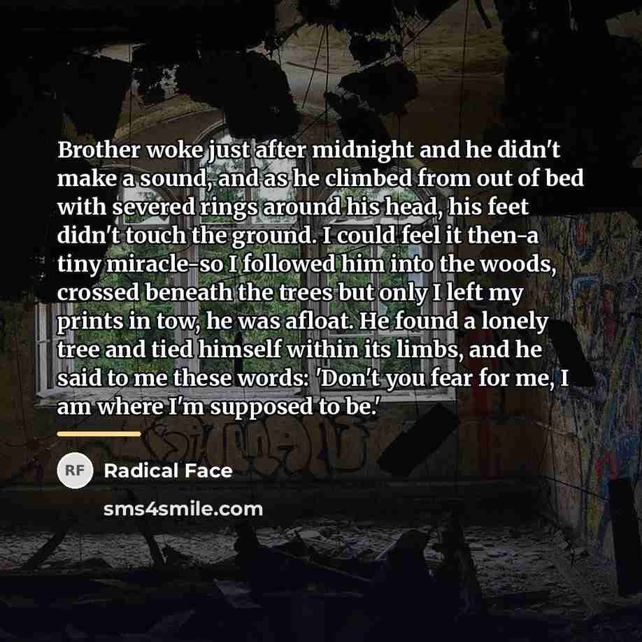 “Brother woke just after midnight and he didn't make a…” quote by Radical Face