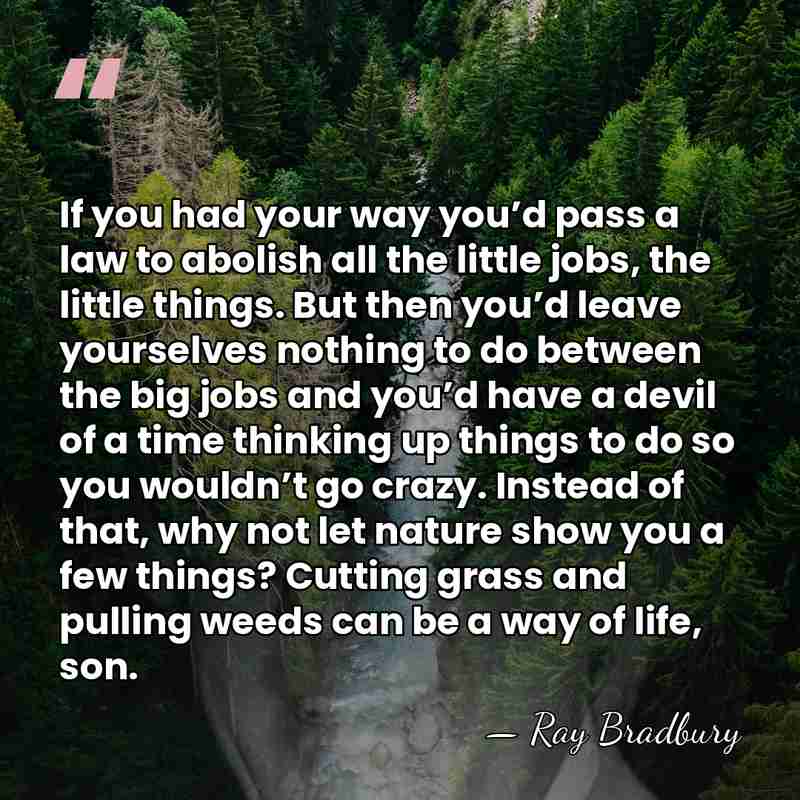 If you had your way you’d pass a law to abolish all&hellip; - Ray Bradbury