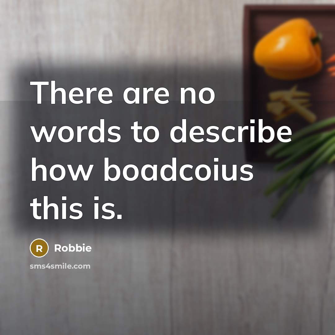 “There are no words to describe how boadcoius this is.” quote by Robbie