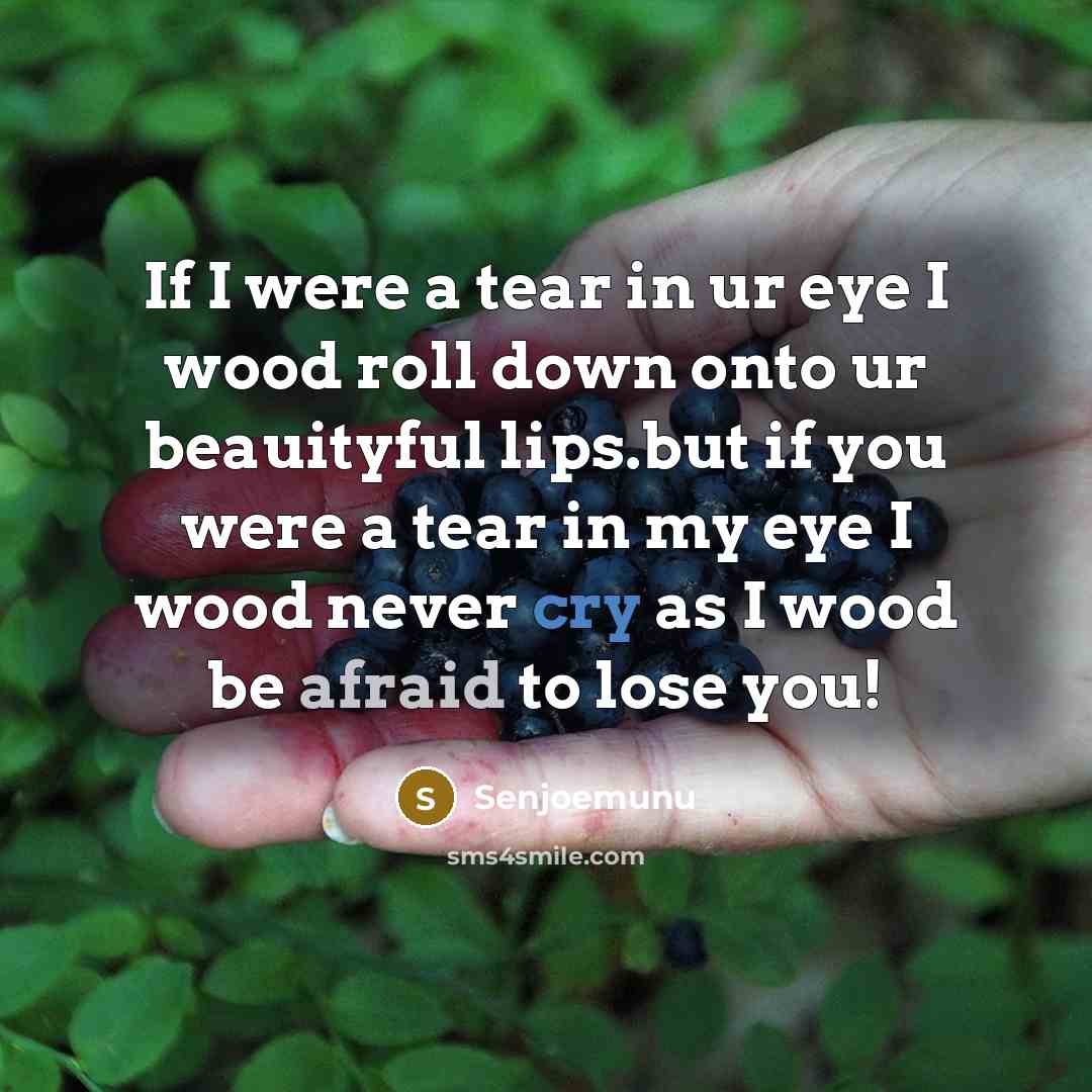 “If I were a tear in ur eye I wood roll down onto ur beauityful lips.but if you were a tear in my eye I wood never cry as I wood be afraid to lose you!” quote by Senjoemunu