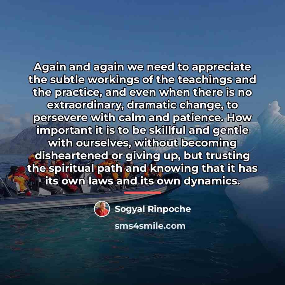 “Again and again we need to appreciate the subtle workings…” quote by Sogyal Rinpoche