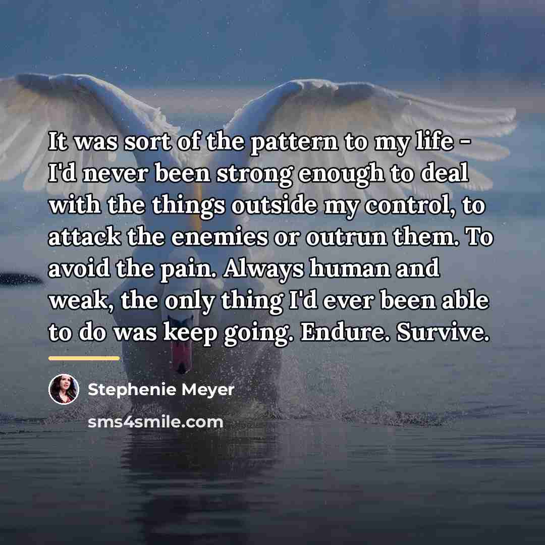 “It was sort of the pattern to my life -…” quote by Stephenie Meyer