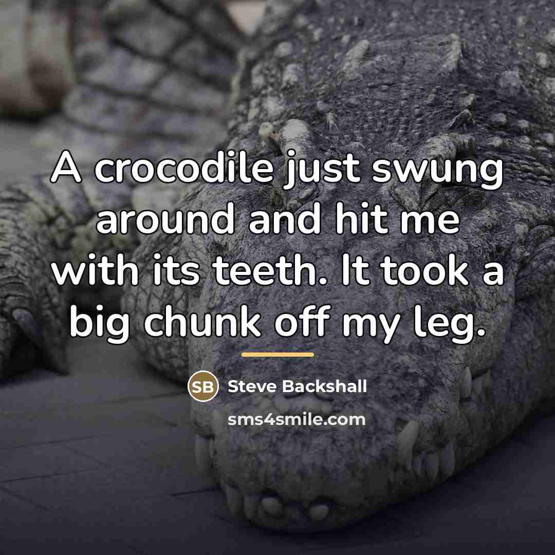 “A crocodile just swung around and hit me with its…” quote by Steve Backshall