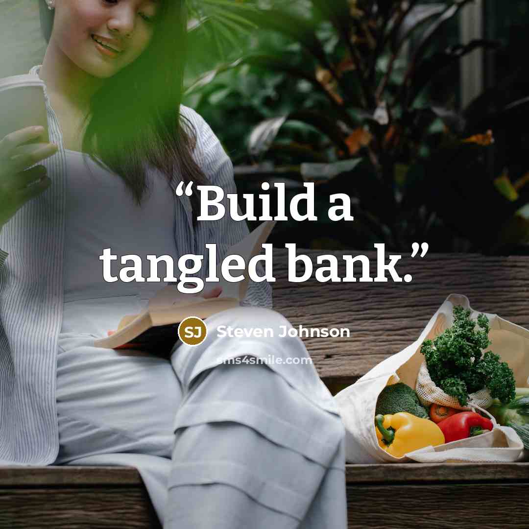 “Build a tangled bank.” quote by Steven Johnson