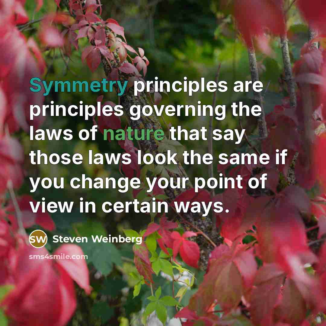 “Symmetry principles are principles governing the laws of nature that…” quote by Steven Weinberg