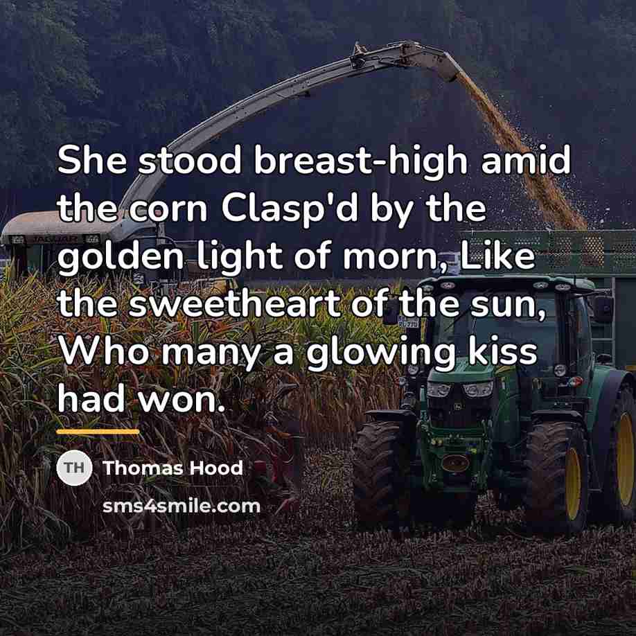 “She stood breast-high amid the corn Clasp'd by the golden…” quote by Thomas Hood