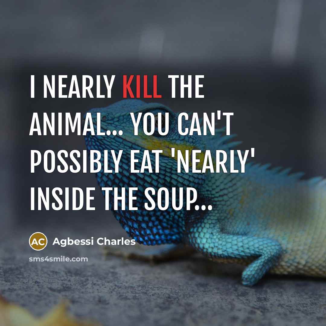 “I nearly kill the animal... You can't possibly eat 'nearly'…” quote by Agbessi Charles