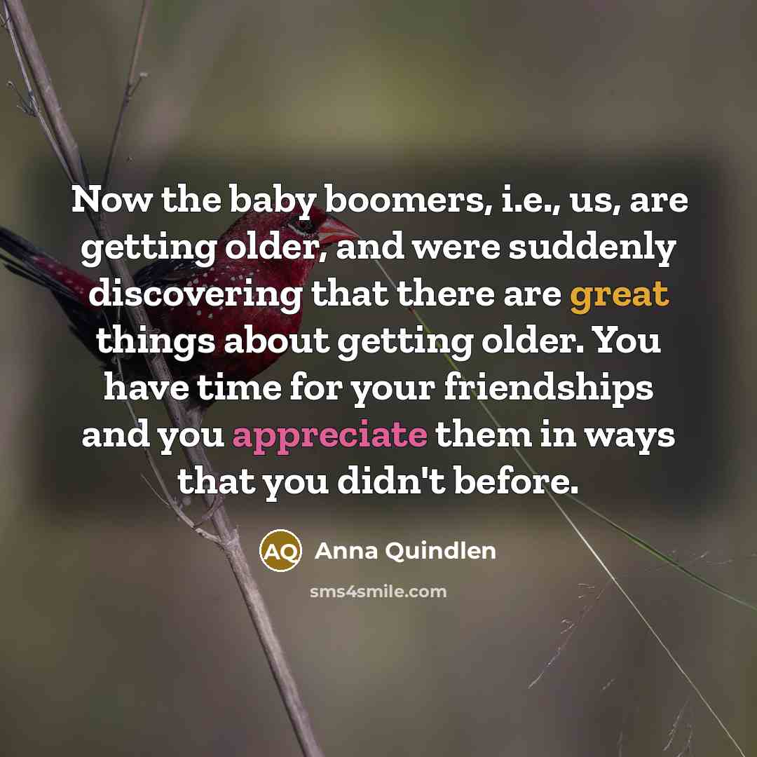“Now the baby boomers, i.e., us, are getting older, and…” quote by Anna Quindlen