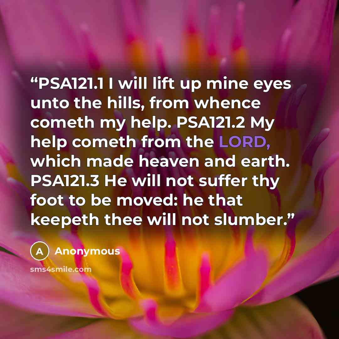 “PSA121.1 I will lift up mine eyes unto the hills, from whence cometh my help. PSA121.2 My help cometh from the LORD, which made heaven and earth. PSA121.3 He will not suffer thy foot to be moved: he that keepeth thee will not slumber.” quote by Anonymous