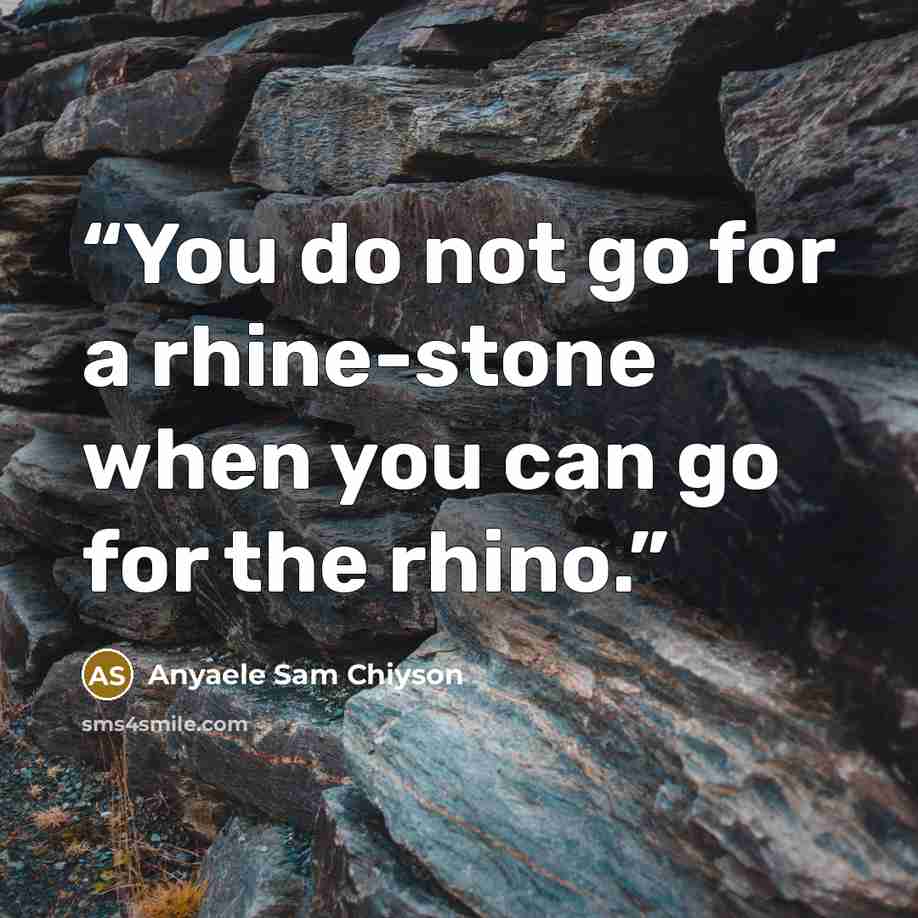 “You do not go for a rhine-stone when you can go for the rhino.” quote by Anyaele Sam Chiyson