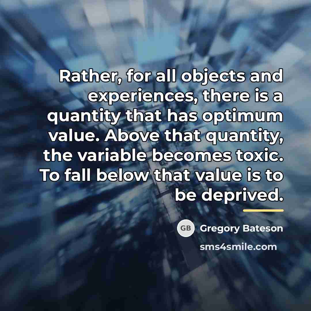 “Rather, for all objects and experiences, there is a quantity…” quote by Gregory Bateson