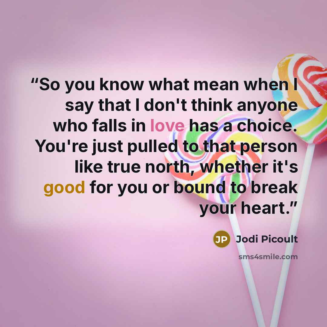 “So you know what mean when I say that I don't think anyone who falls in love has a choice. You're just pulled to that person like true north, whether it's good for you or bound to break your heart.” quote by jodi picoult